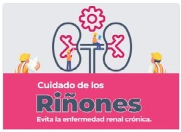 Portada del curso vitual: Cuidado de los riñones de CLIMSS